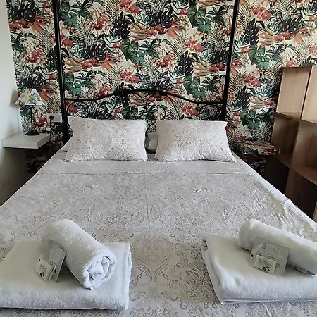 Carolina Apartment